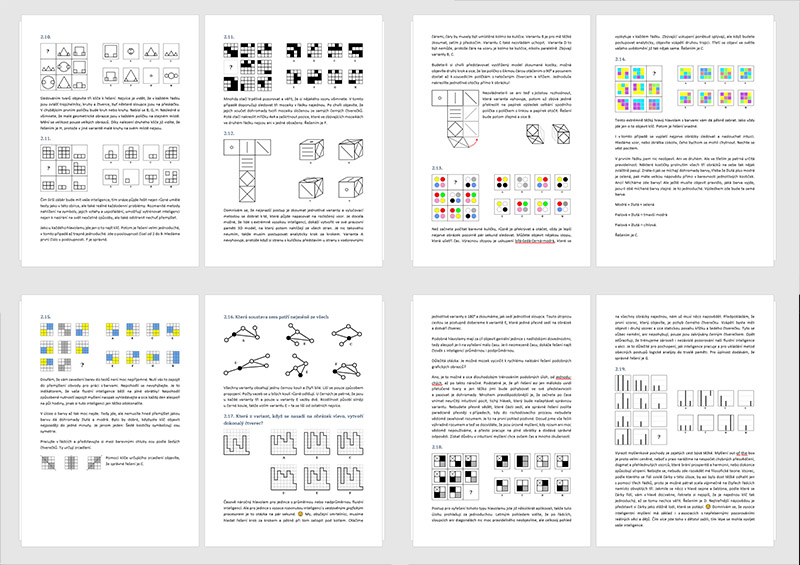 řešená sbírka IQ testů